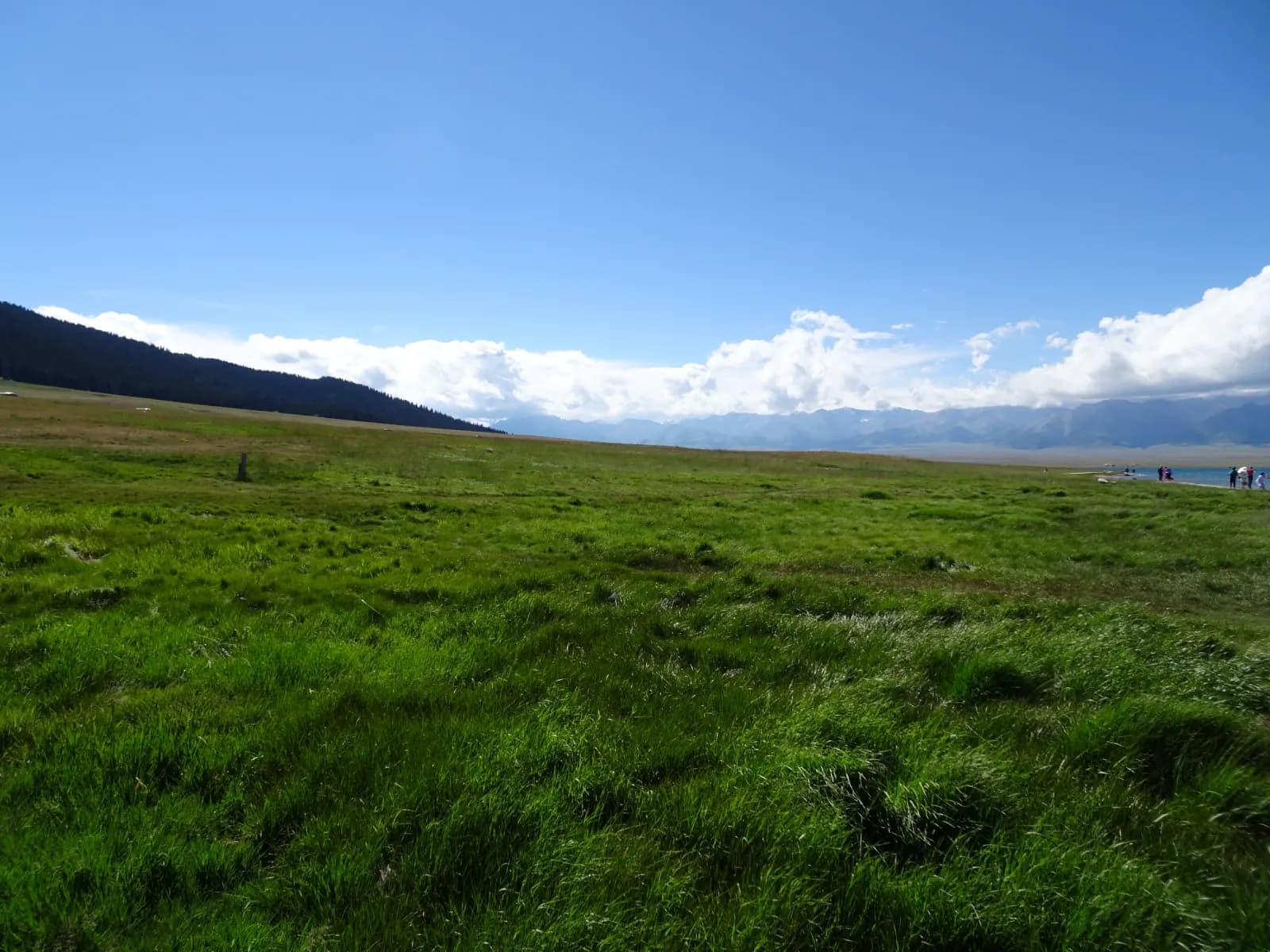 Yunyu Xinjiang · Circuito panorámico de 18 días · Día 08-11