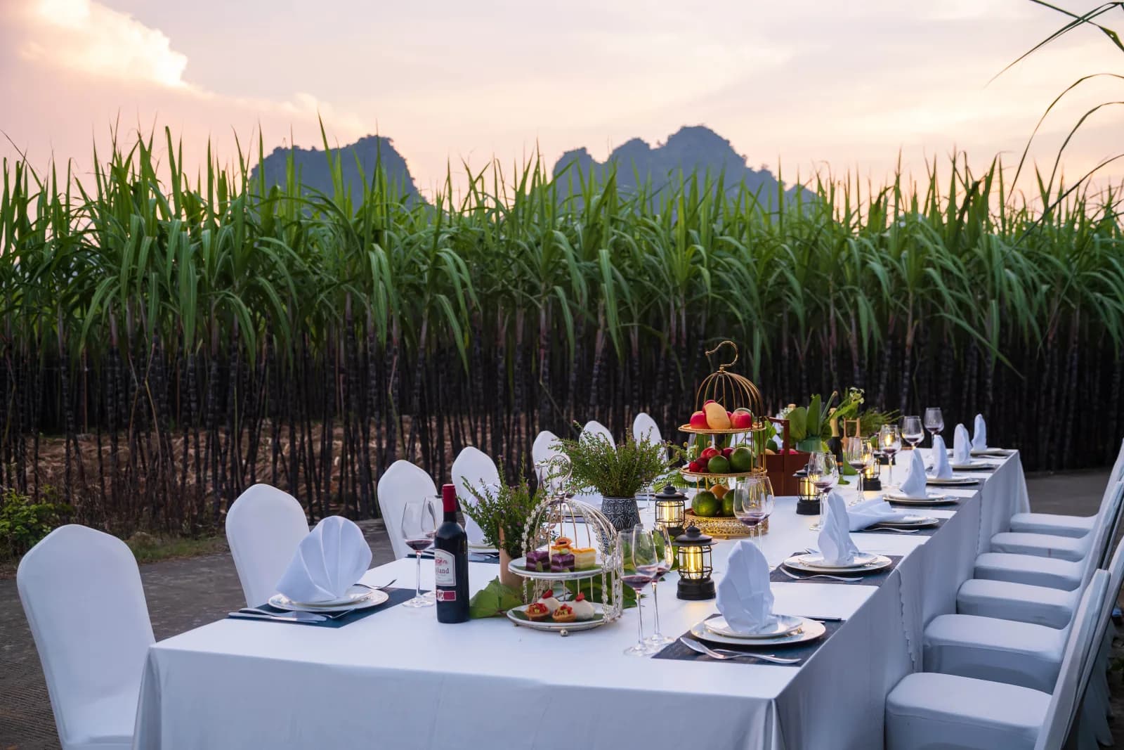 Outdoor dining beside the sugarcane fields at Longzhou Guantang Resort Hotel